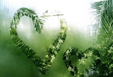 土耳其球队完成新转会引援计划